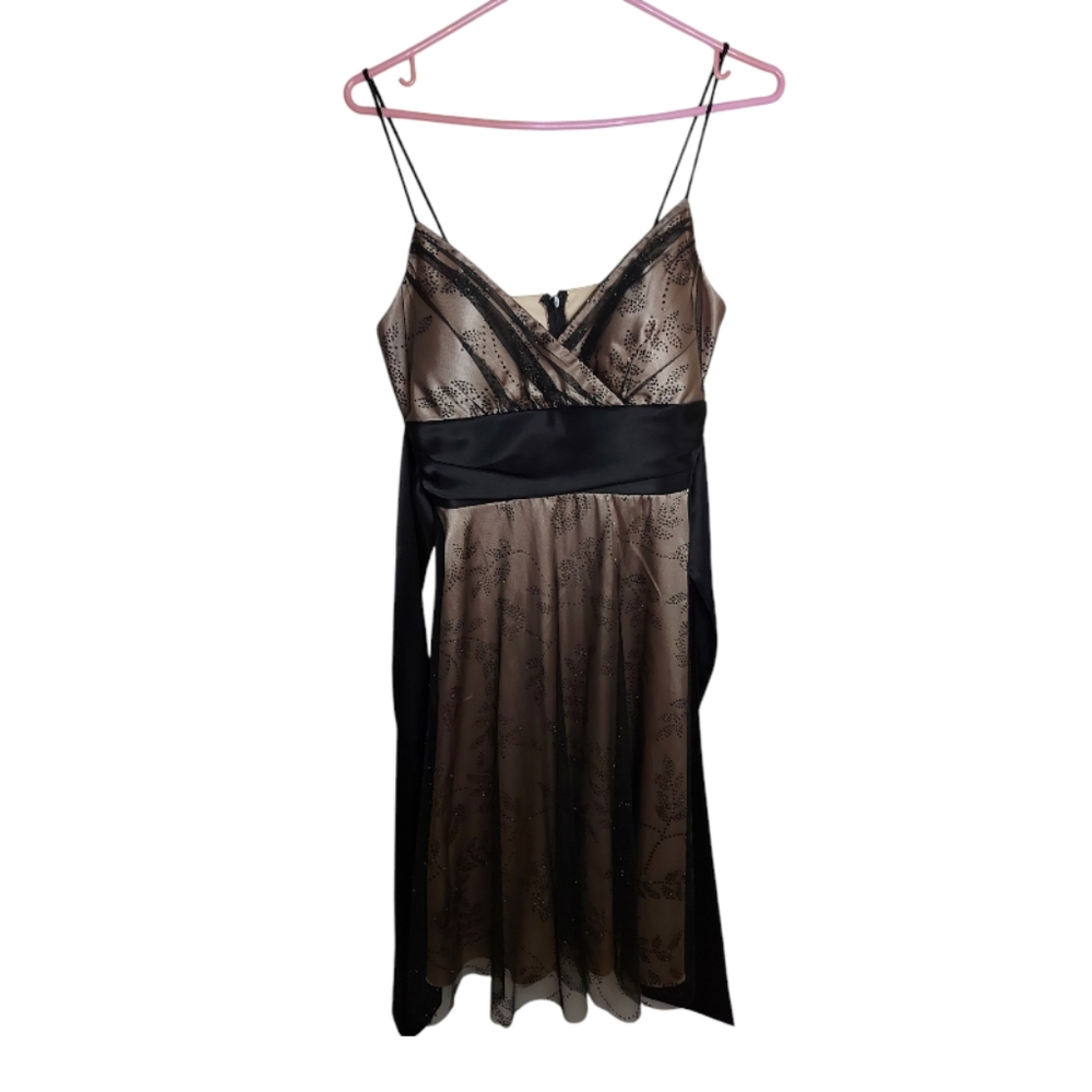 NWT Marina Bresler Glitter Chiffon Dress From Melaine Lynne